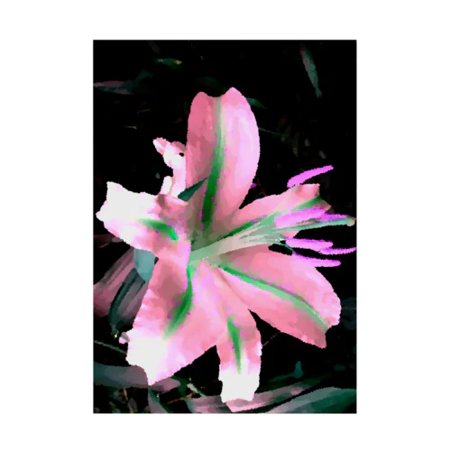 Wild Lily Variation Stickable Poster