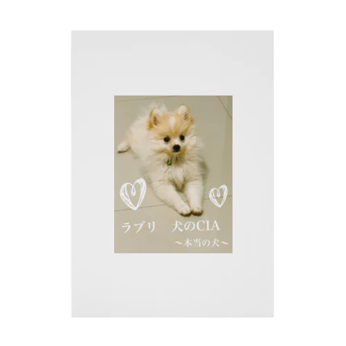 ラブリ 犬のCIA 〜本当の犬〜 吸着ポスター