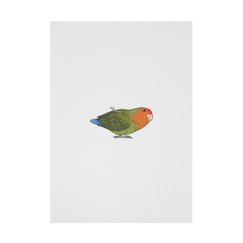 おすましコザクラインコ　きなこちゃん【まめるりはことり】 Stickable Poster