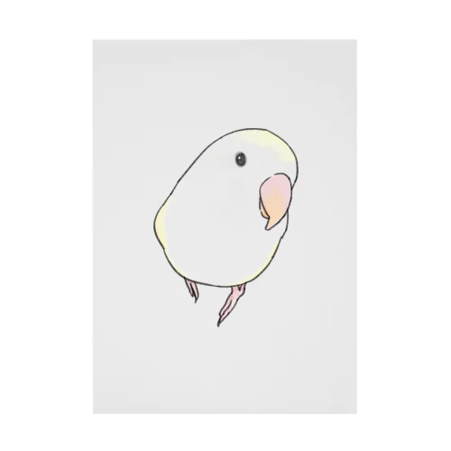 コザクラインコ　バイオレットパイドちゃん【まめるりはことり】 Stickable Poster