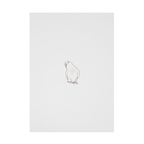 アルビノセキセイインコちゃん【まめるりはことり】 Stickable Poster