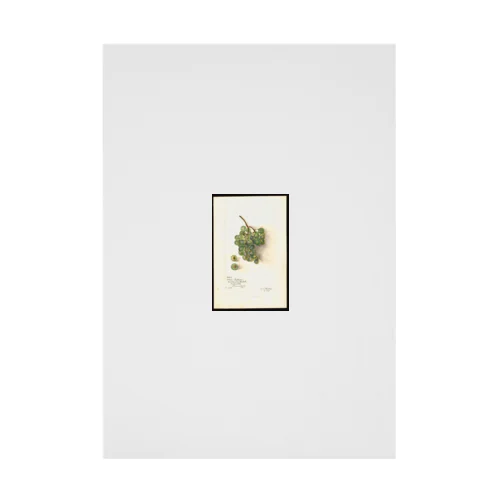 White Southern  Stickable Poster