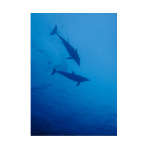 Dolphin Stickable Poster