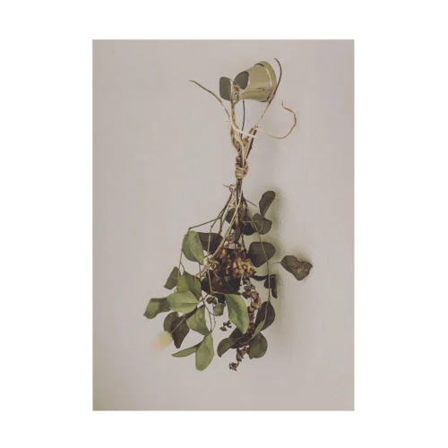 dried  plant  Stickable Poster