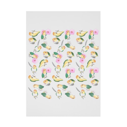 たっぷりシロハラインコちゃん【まめるりはことり】 Stickable Poster