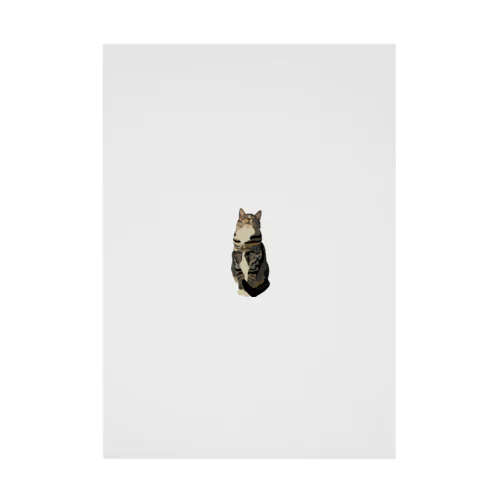 Tabby Cat Stickable Poster