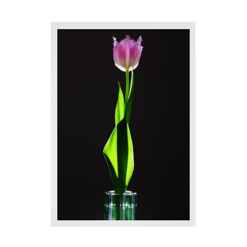 Tulip Design Stickable Poster Stickable Poster