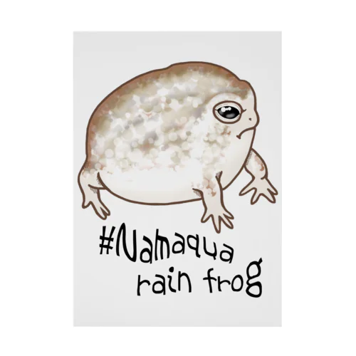 Namaqua rain frog(なまかふくらがえる) 英語バージョン 吸着ポスター