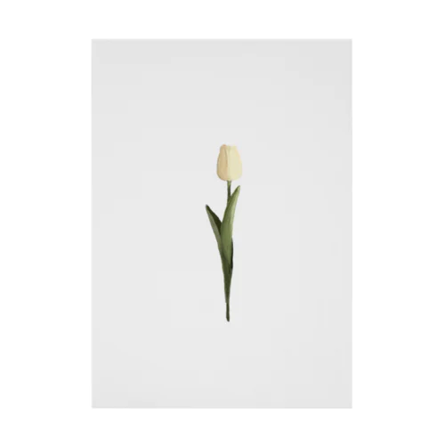 cream tulip Stickable Poster