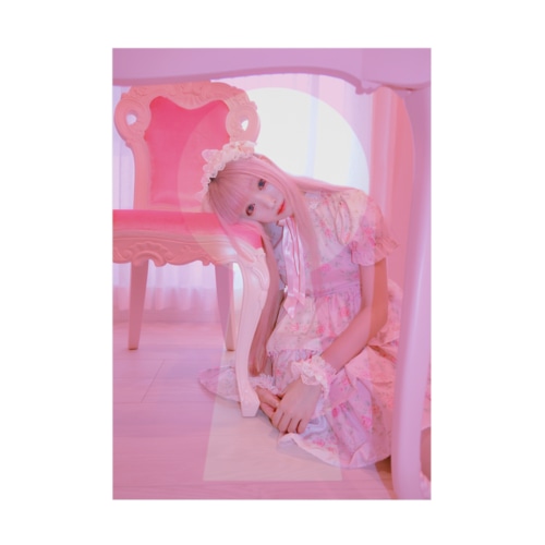 DOLL HOUSE Stickable Poster