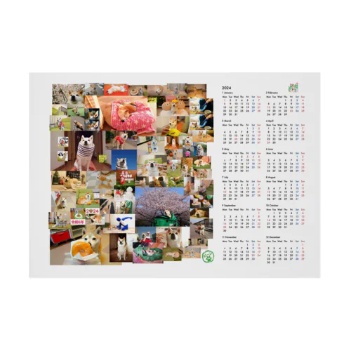 (大盛)豆柴ビーンのカレンダー2024 Stickable Poster