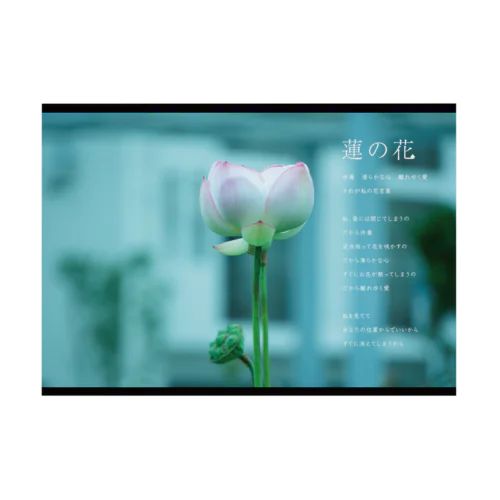 心の詩　蓮の花 Stickable Poster