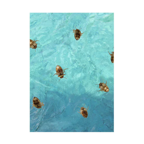 海を泳ぐチャイロチビゲンゴロウ Stickable Poster