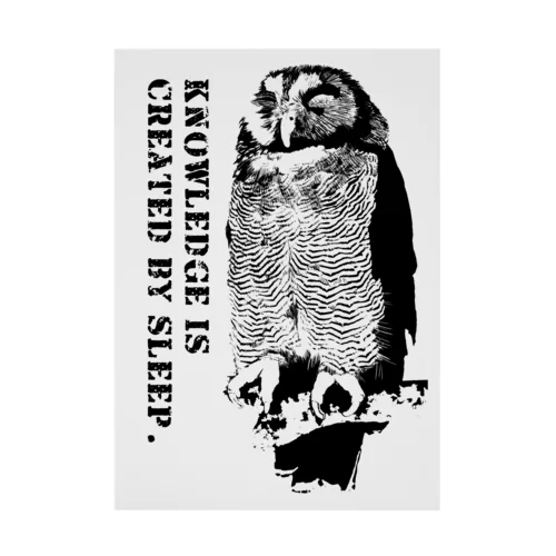 Sleeping owl Stickable Poster