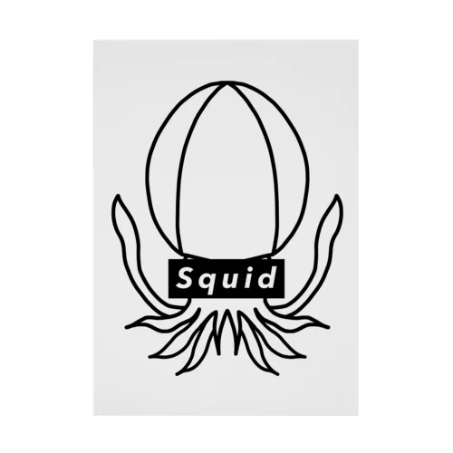 Squid  吸着ポスター