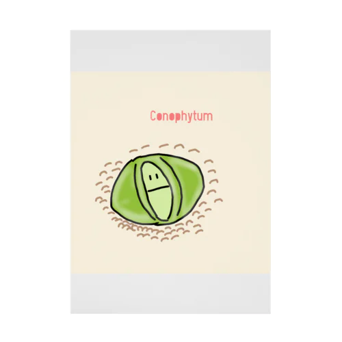 Conophytum Stickable Poster