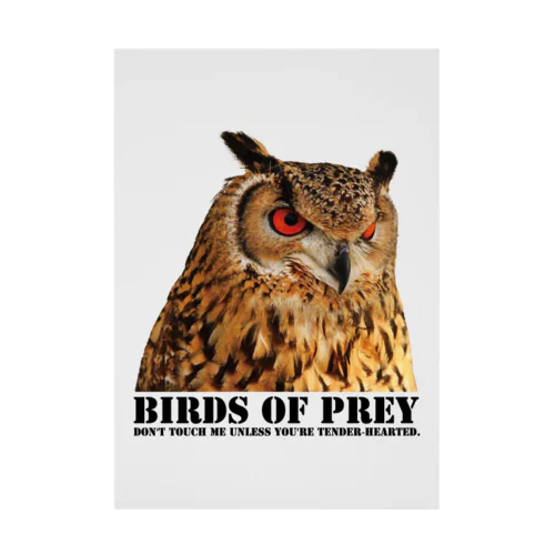 BIRDS OF PREY ベンガルワシミミズク Stickable Poster