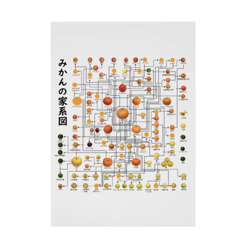 みかんの家系図 Stickable Poster