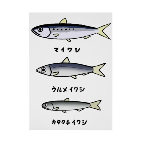 【魚シリーズ】イワシ三兄弟♪220919 Stickable Poster