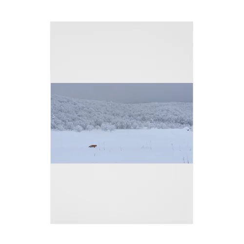 雪原を往くキツネ - Snowfield and Fox - 吸着ポスター