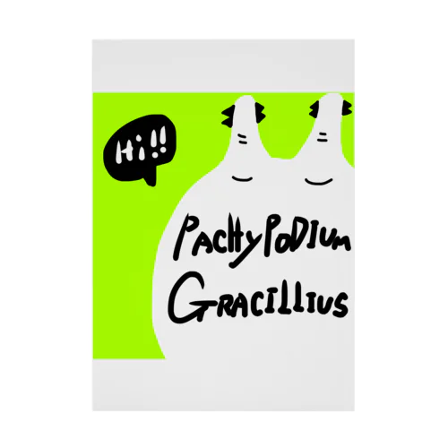 Pachypodium Gracilius  Stickable Poster