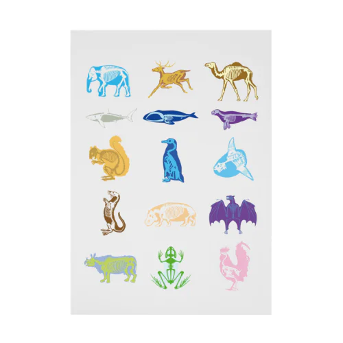 Animalia Anatomy Stickable Poster