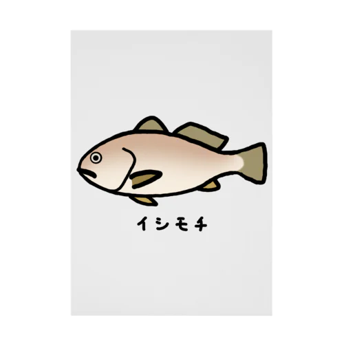 【魚シリーズ】イシモチ♪240507 吸着ポスター