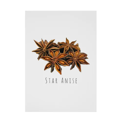 STAR ANISE Stickable Poster