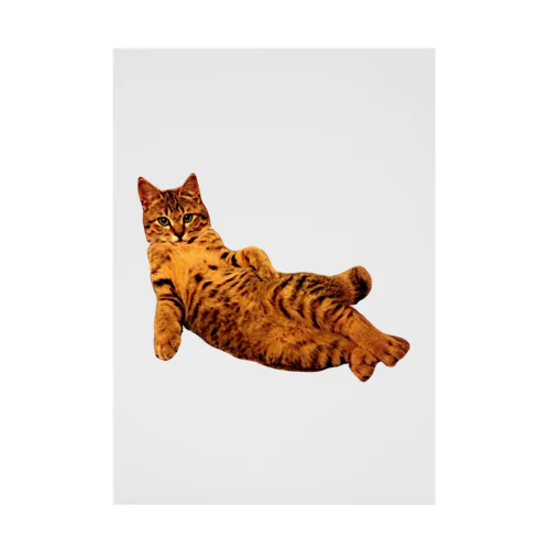 Elegant Cat ① Stickable Poster