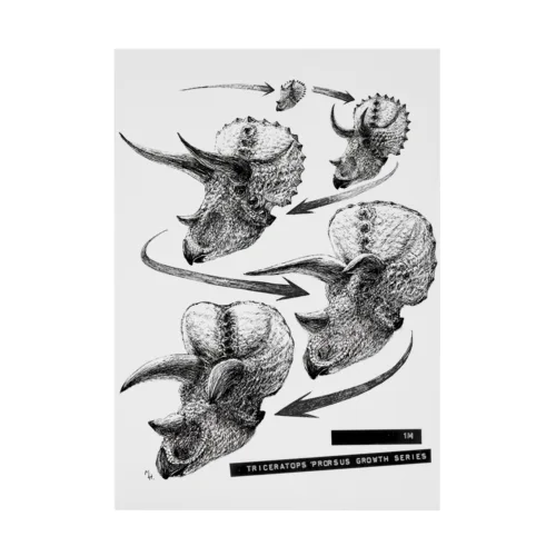 Triceratops prorsus growth series Stickable Poster