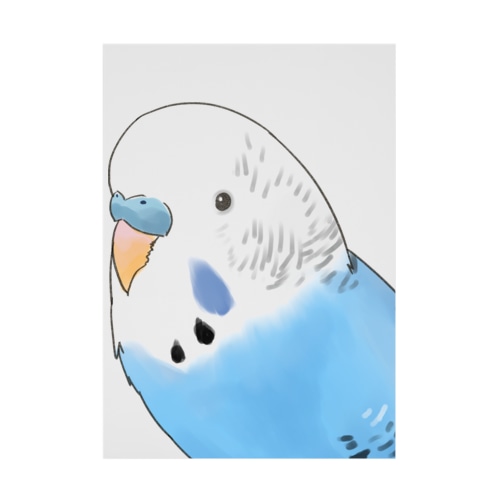 見つめるセキセイインコちゃん【まめるりはことり】 Stickable Poster