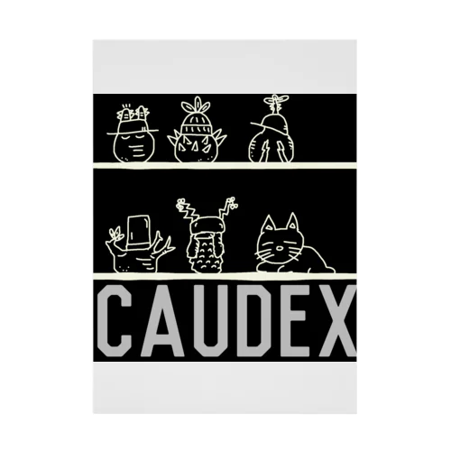 caudex  吸着ポスター