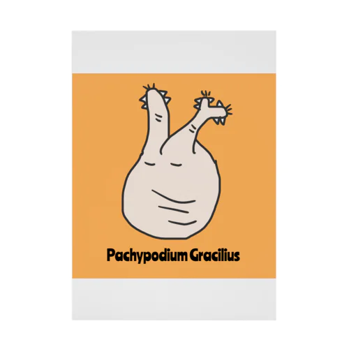 Pachypodium Gracilius  Stickable Poster