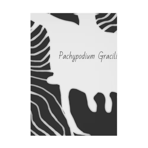 Pachypodium Gracilius  Stickable Poster