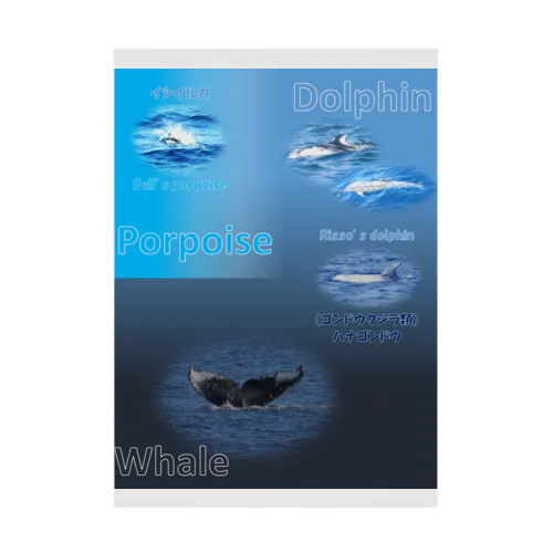 イルカとクジラの違い Stickable Poster