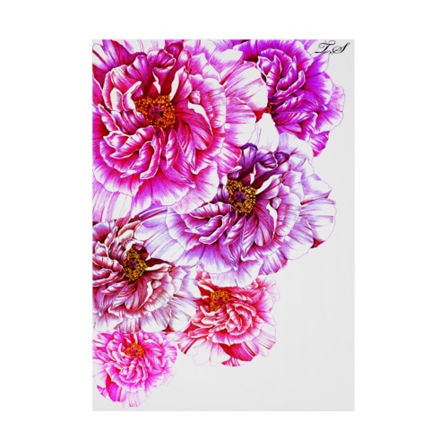 ボールペン画「牡丹」 Stickable Poster