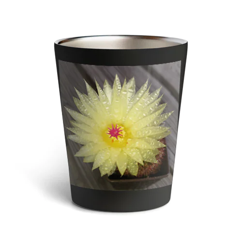 サボテンの花 Thermo Tumbler