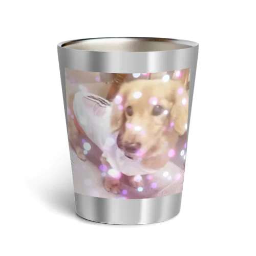 ミニチュアダックス マロン君 ラブリー Thermo Tumbler