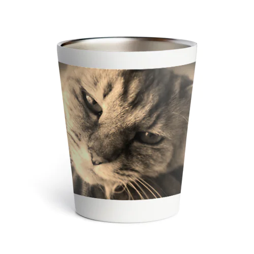 あまえんぼうの猫のチー Thermo Tumbler