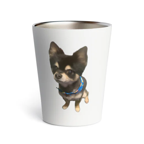 我が家の愛犬レン君 🐶1 Thermo Tumbler