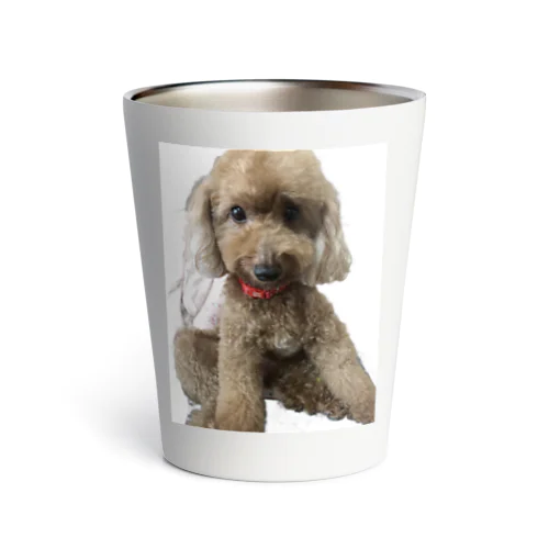 姪犬店長 Thermo Tumbler