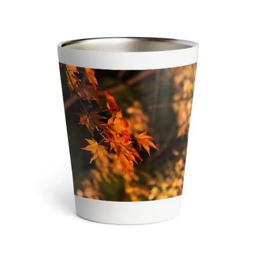 ライトアップ紅葉 - Japanese maple(night shot) - Thermo Tumbler