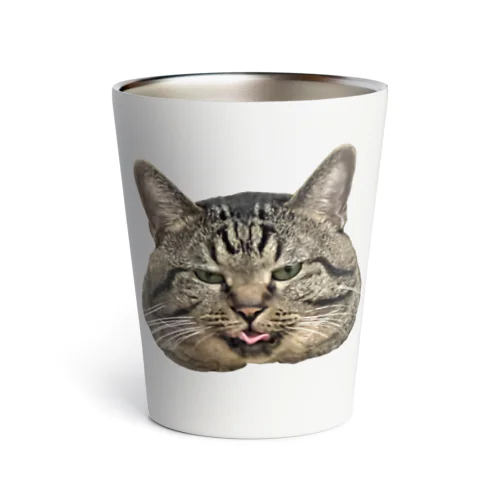 顔でか猫 Thermo Tumbler