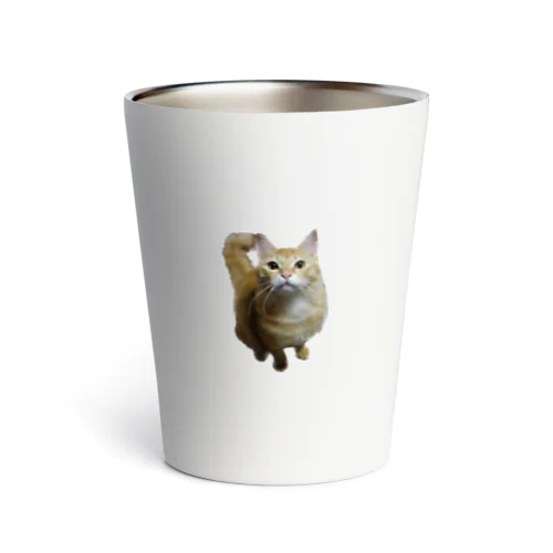 我が家のお猫様が見てます(笑) Thermo Tumbler