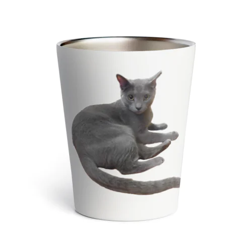 きゅるんきゅるんのねこ Thermo Tumbler