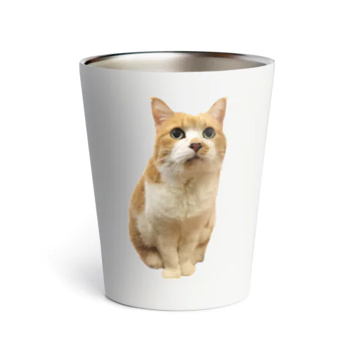 猫ちゃん Thermo Tumbler