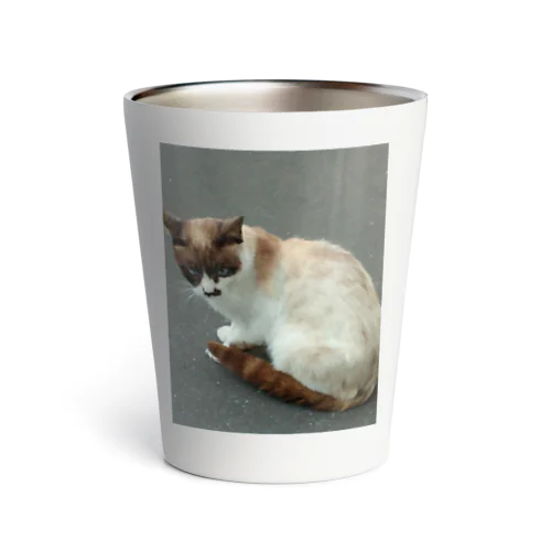 201408161744000　焦げ目の猫 Thermo Tumbler