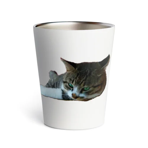 猫のひーくん Thermo Tumbler