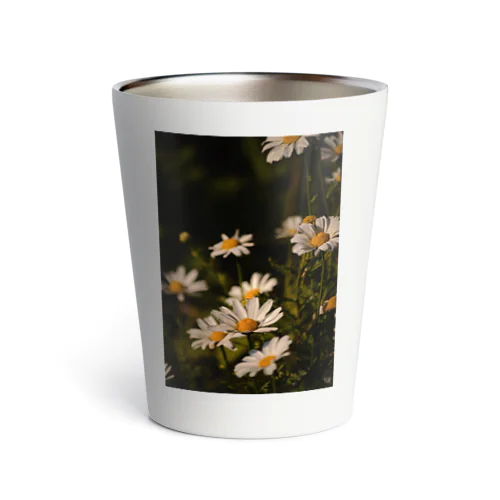 daisy  Thermo Tumbler