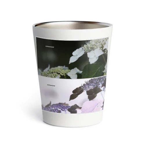 hydrangeas Thermo Tumbler